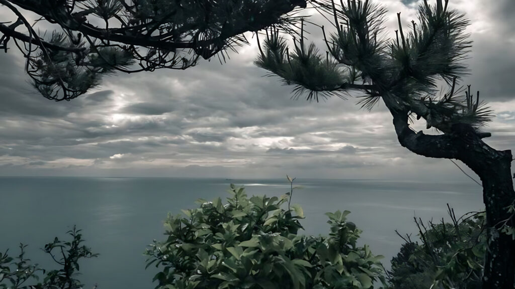 Ảnh Cây Cối Buồn, Hoa Buồn, Hoàng Hôn Và Bầu Trời