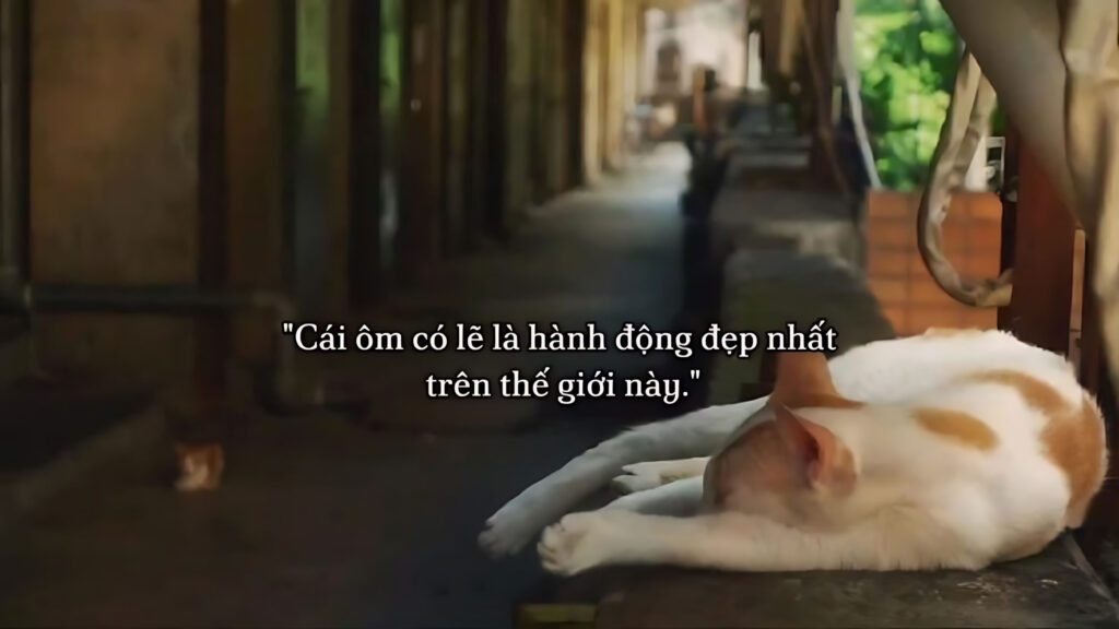 Ảnh Chữ Buồn Tâm Trạng, Ảnh Stt Buồn Về Tình Yêu, Cuộc Sống