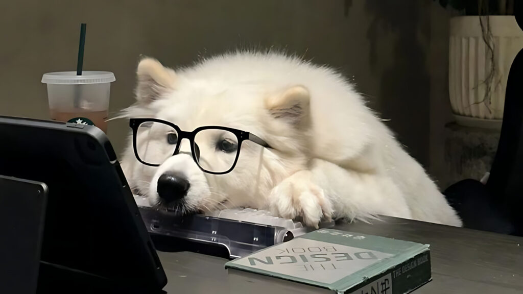 Ảnh Chó Buồn, Meme Ảnh Con Chó Buồn, Ảnh Chó Khóc