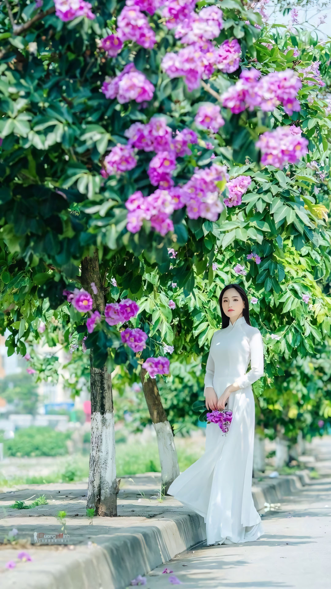 Áo dài ảnh hoa bằng lăng buồn