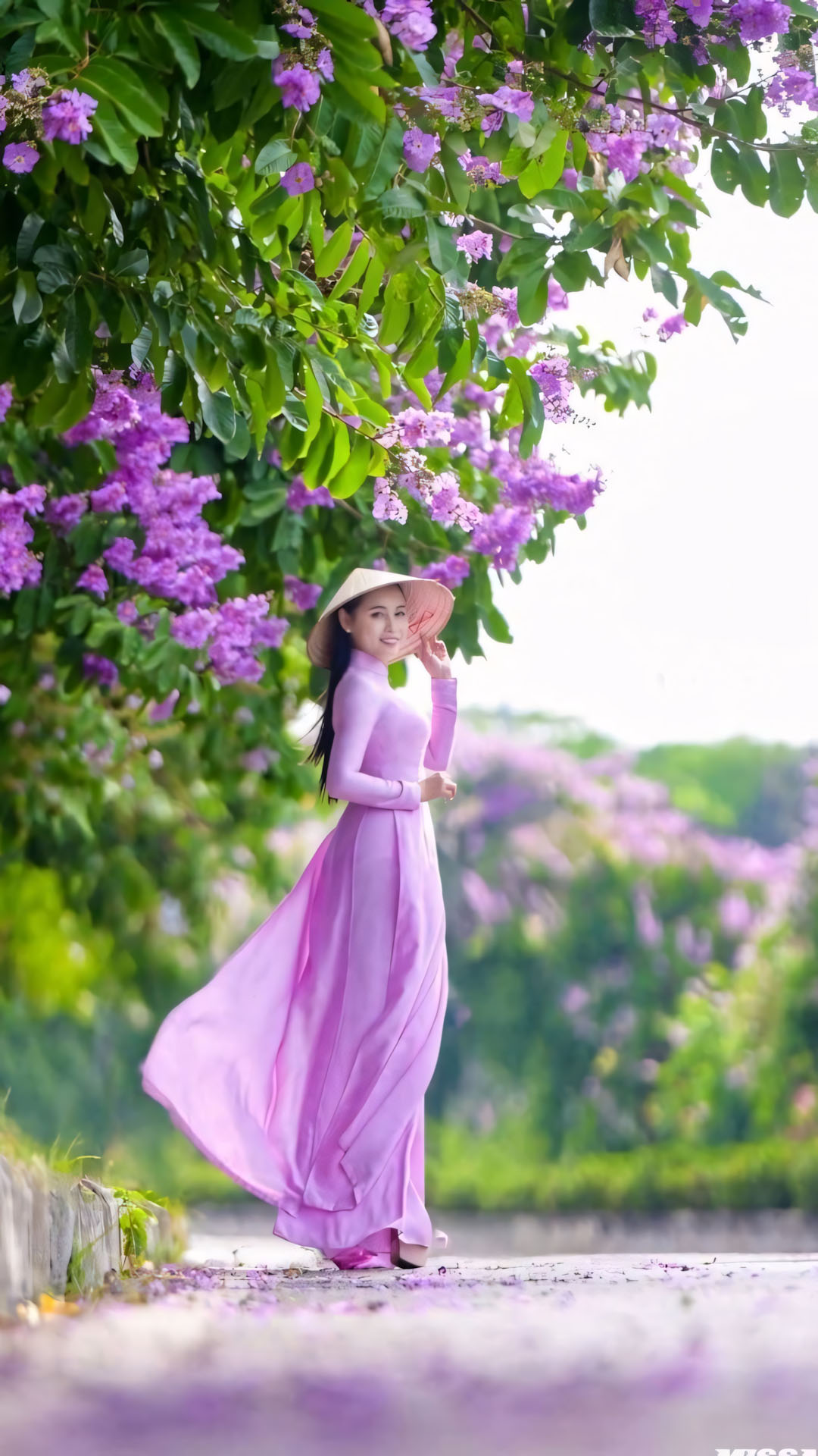 Áo dài ảnh hoa bằng lăng buồn