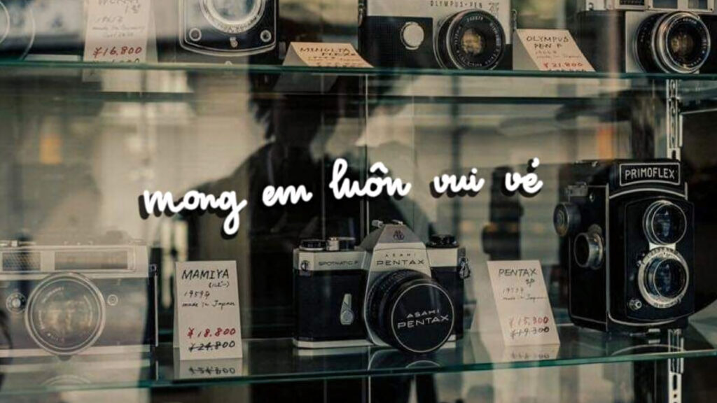 Avatar Mệt Mỏi, Meme Chó Mèo Mệt Mỏi, Avatar Mệt Mỏi Nền Đen