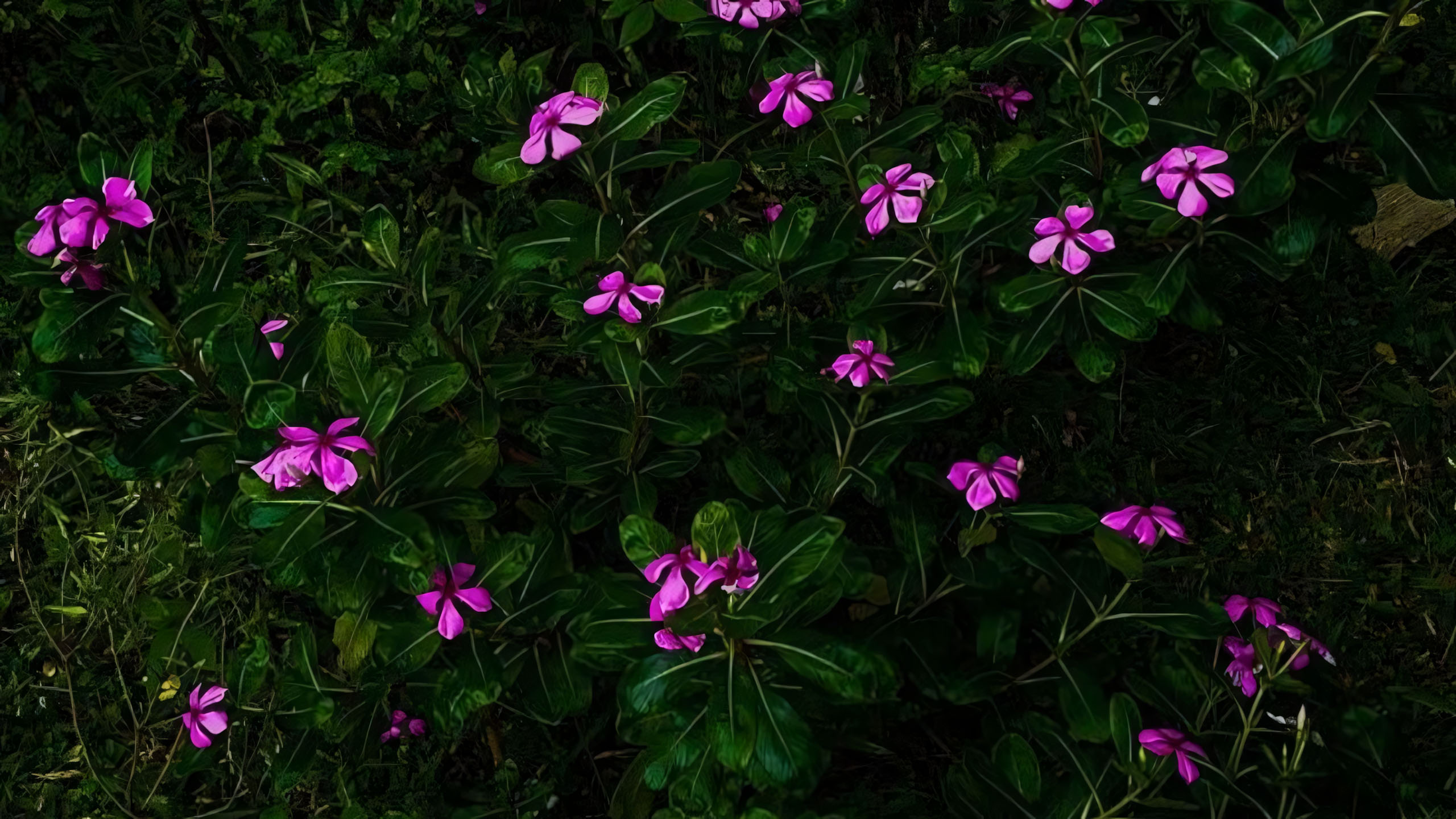 Ảnh Hoa Bằng Lăng Buồn, Hình Nền, Cách Chụp Ảnh, Tạo Dáng