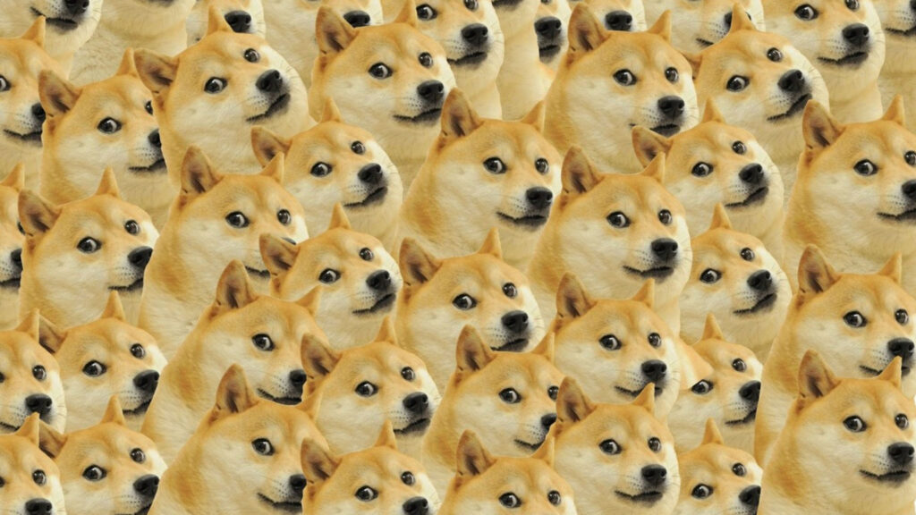 Hình ảnh chó buồn cười – Meme chó hài hước