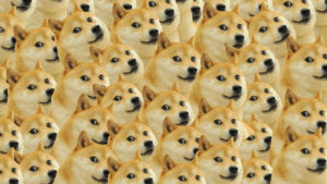 Hình ảnh chó buồn cười - Meme chó hài hước