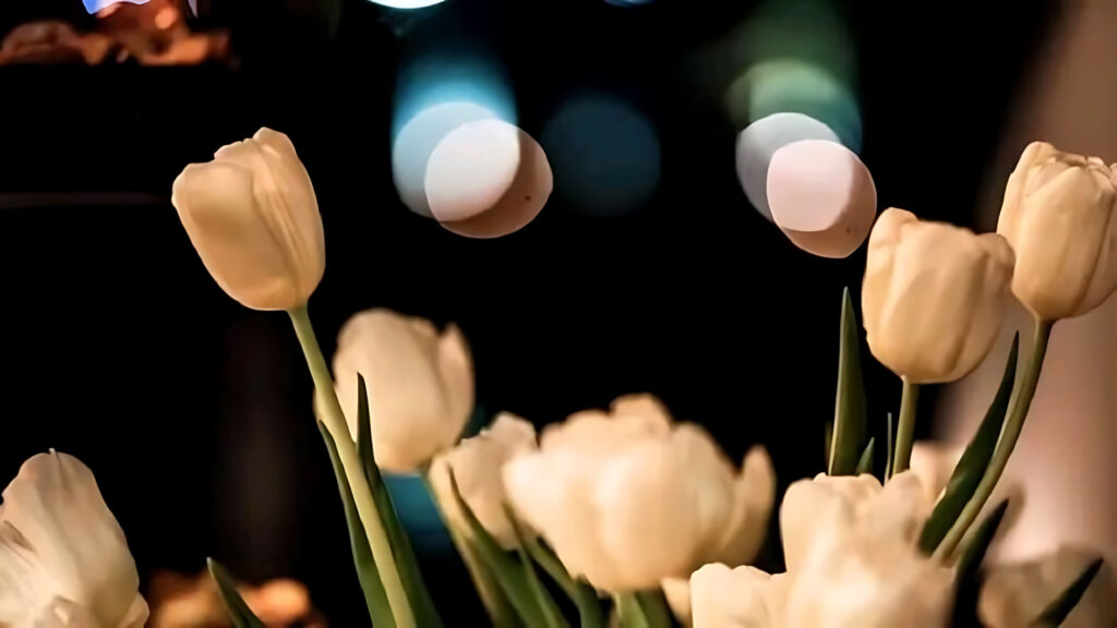 Ảnh Hoa Chill Buồn, Hình Nền Iphone Hoa Chill Buồn, Tâm Trạng